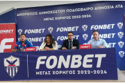 anorthosis