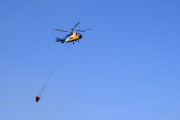 Kamov