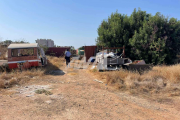 επίθεση σκύλος Λεμεσός
