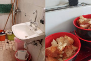 καταγγελίες οίκος ευγηρίας