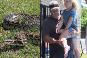 PITHONAS
