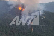 κρατικό δάσος Πάφου