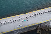 συρτάκι Μυτιλήνη