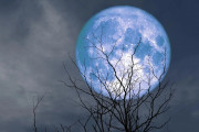 blue moon