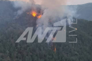 κρατικο δασος παφου