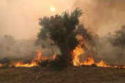 πυρκαγιά Έβρος