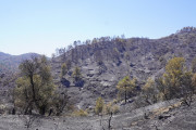 πυρκαγιά.