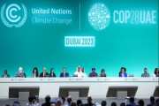 cop28