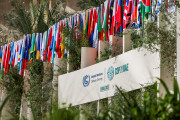 cop28 UAE