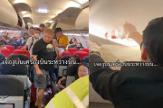 φίδι σε αεροπλάνο