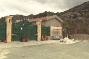 ηγτφ