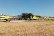 τμημα δασων