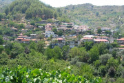 πλατανιστάσα 