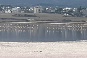 ΚΘΥ