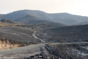α
