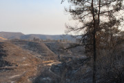 α