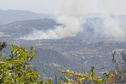 ΟΜΟΔΟΣ