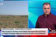 Νικήτας