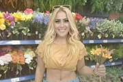 fds