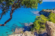 ακάμας 