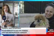 όι