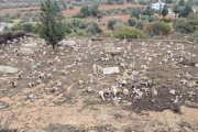 κοιμη