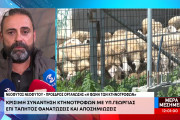 κθυ