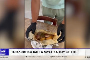 κθυ