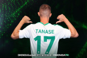 ταμασε 17