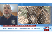 ΤΕΛΩΝΕΙΑ