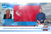 Δρ. Ζωή Δωροθέα Πανά