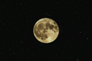 κ